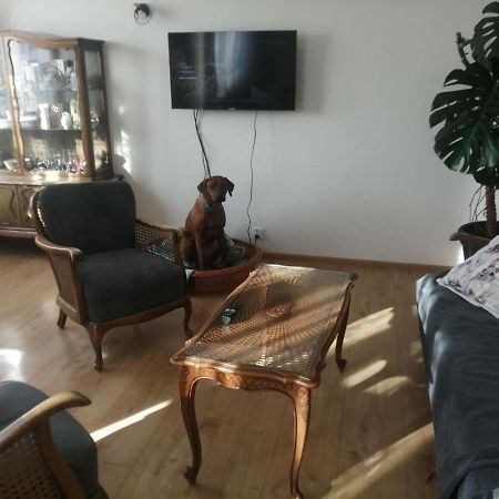 Husarska Swinemuende Kültér fotó
