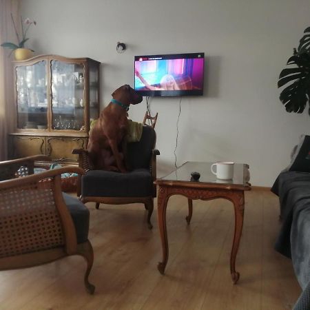 Husarska Swinemuende Kültér fotó