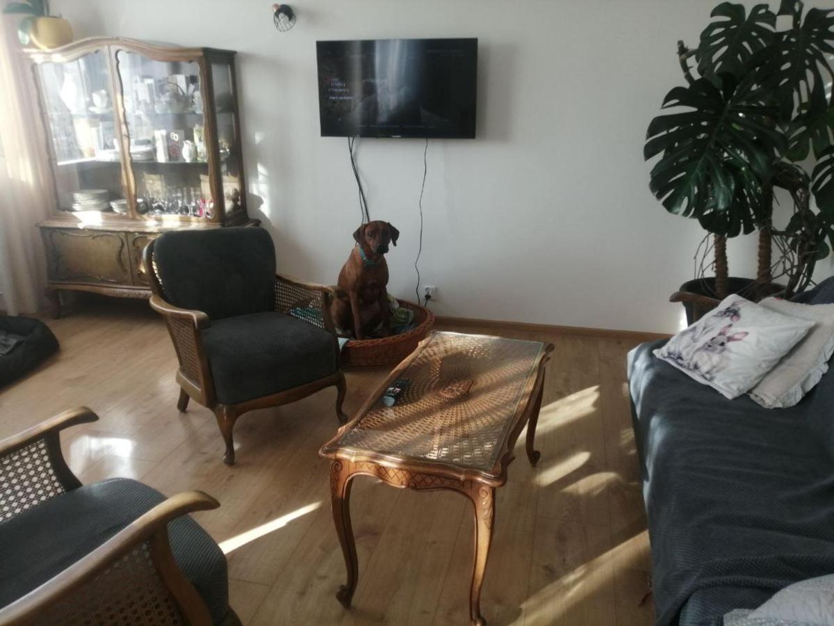 Husarska Swinemuende Kültér fotó